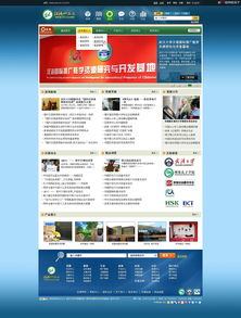 漢推基地項(xiàng)目課程與官方站設(shè)計(jì)集錦 融合文化傳播與現(xiàn)代網(wǎng)頁(yè)設(shè)計(jì)